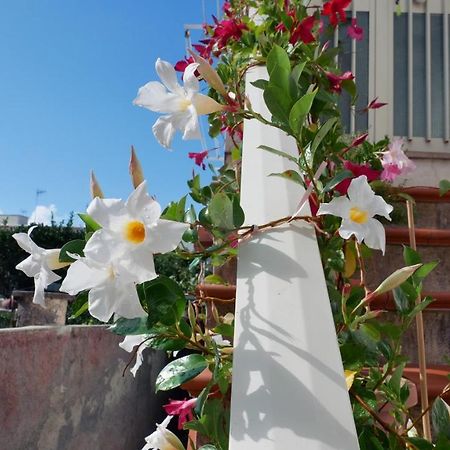 Casa Vacanza Anacapri Sunrise المظهر الخارجي الصورة